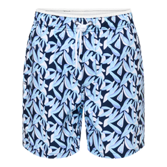 1021-19 Ramatuelle Zanzibar navy F